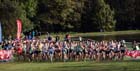 Start of senior men  National Cross Country Relays, Berry Hill Park, Mansfield. Photo: David T. Hewitson/Sports for All Pics